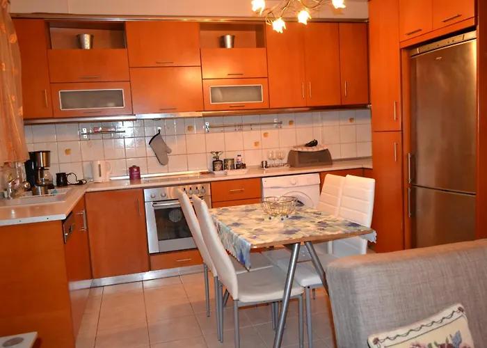 Vasiliki's Cosy House דירה ניאה מיכאניונה