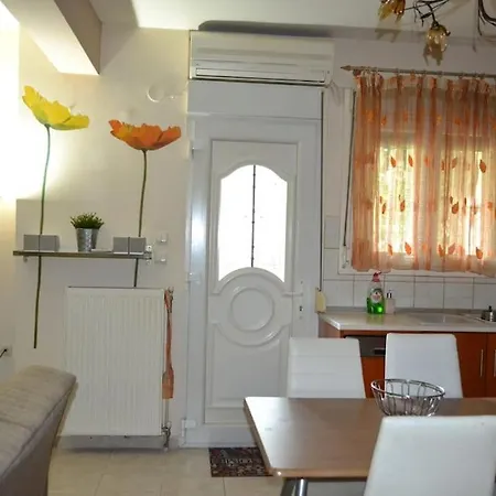 Vasiliki's Cosy House アパート ネア・ミカニオーナ